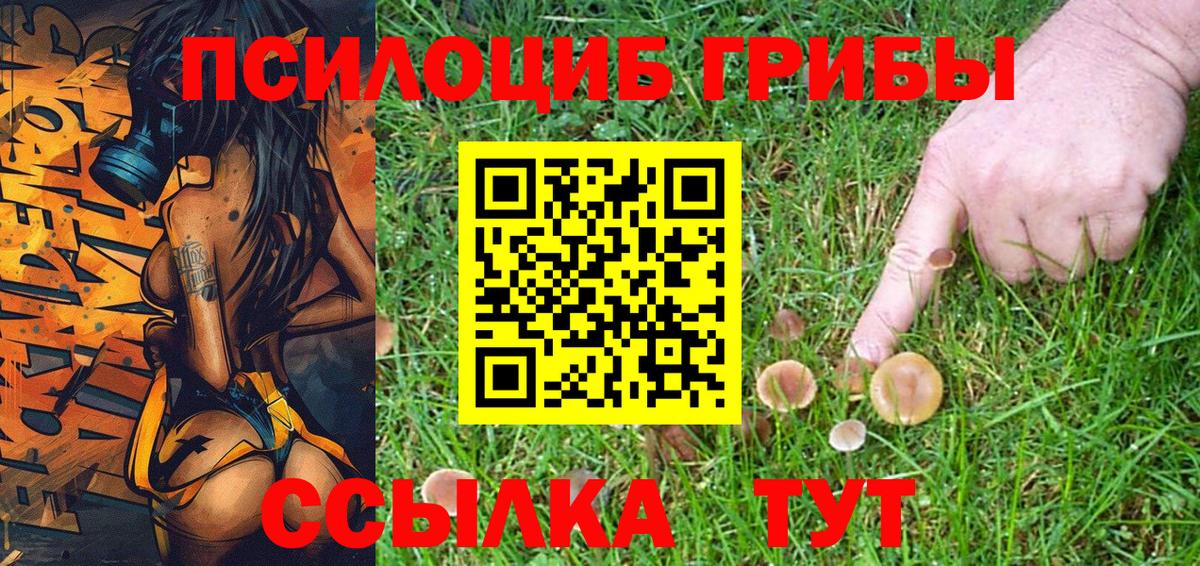 Псилоцибиновые грибы мицелий  Вход с VPN  Галлюциногенные грибы Cubensis  Димитровград 